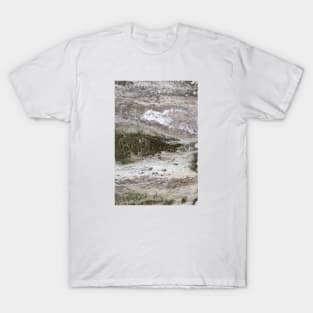 A mossy wall T-Shirt
